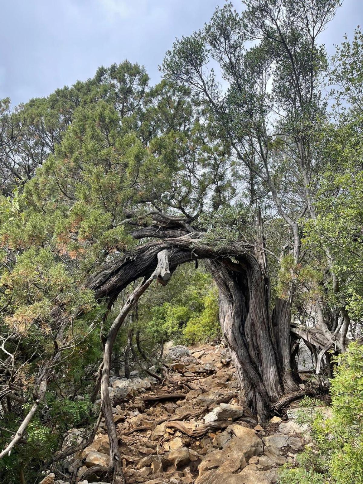 Sa Troppa De Sos Chentu Ξενοδοχείο Dorgali Εξωτερικό φωτογραφία