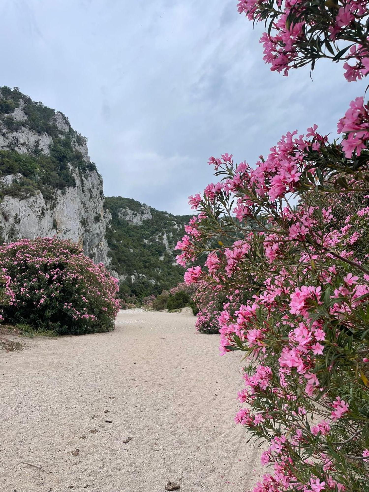 Sa Troppa De Sos Chentu Ξενοδοχείο Dorgali Εξωτερικό φωτογραφία